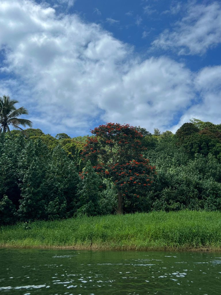 [background image] image of serene outdoor landscape (for a wellness center)