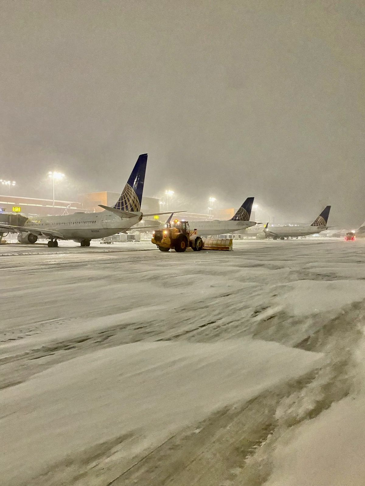 image of an exotic destination landscape (for a travel tech)